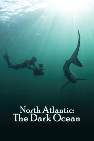 FULL HD North Atlantic: The Dark Ocean 2023 OnlineFullLength