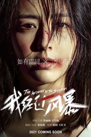 Poster The Woman in the Storm 2023